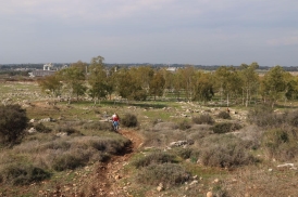אירוע ניווט 3